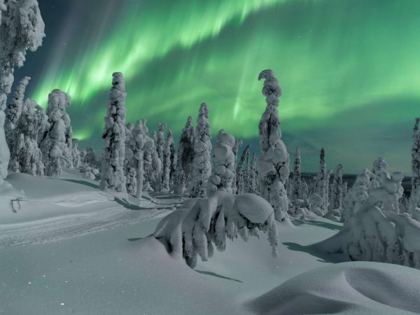 Aurora Trekking to Lake Inari shores