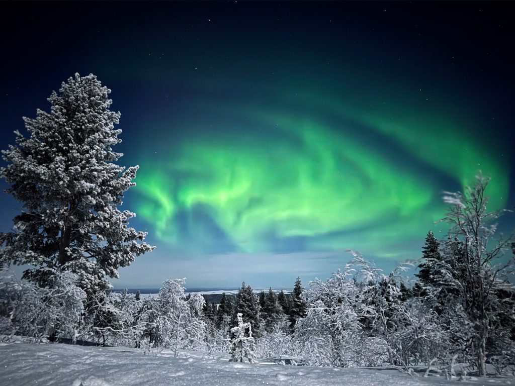 Green northern lights.