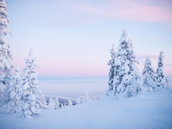 Découvrir Saariselkä : Randonnée en Toundra, Déjeuner & Sauna