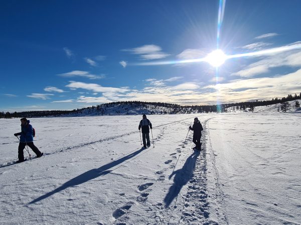 Randonnée d’hiver