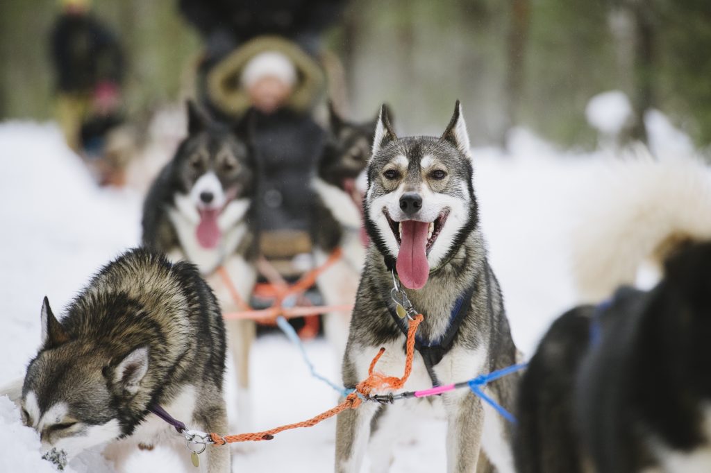 Image: Visit Finland/Juho Kuva